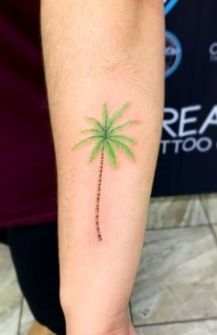 Green Palm Tree Tattoos