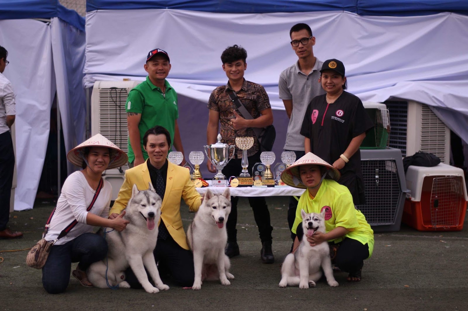 Mình tham gia các hội nhóm, cuộc thi dogshow để có thêm kiến thức về chó