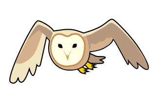 面妖な夜のハンター メンフクロウさん もにゅまる動物記