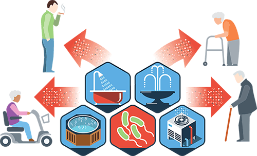 Diagram showing possible sources of Legionella contamination in buildings