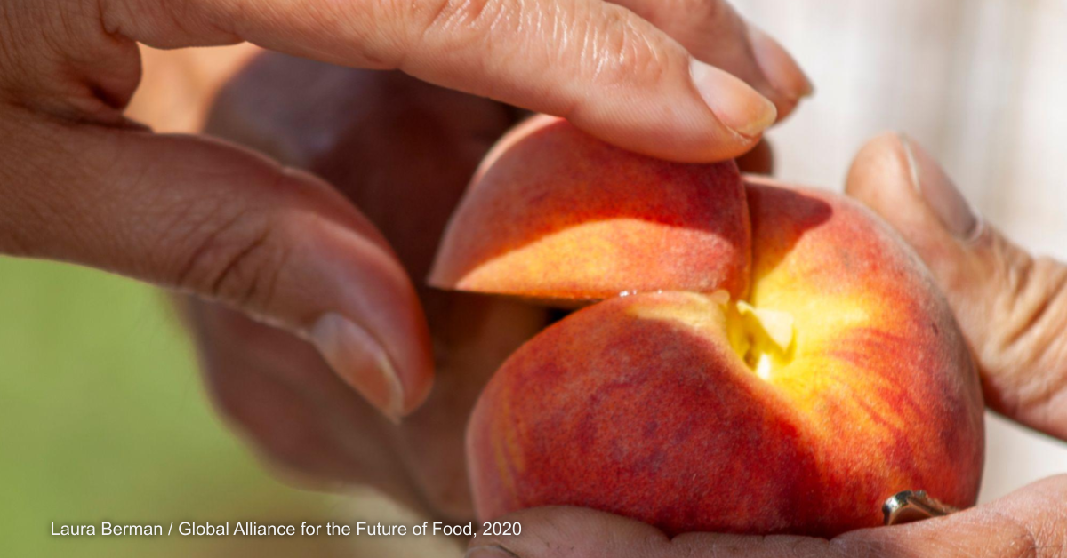 Opinion: Stories about food systems and why they matter