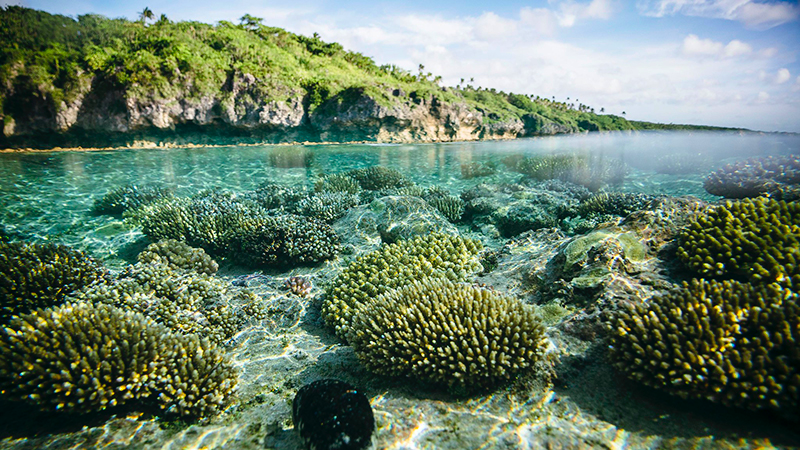 Bringing oceans into the climate fight