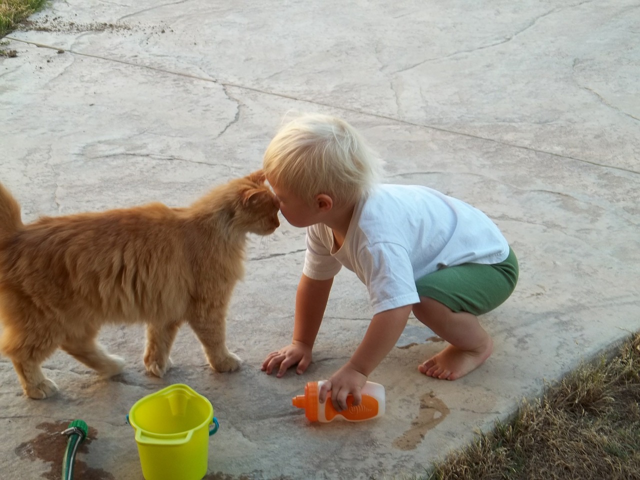 cat and boy.jpg