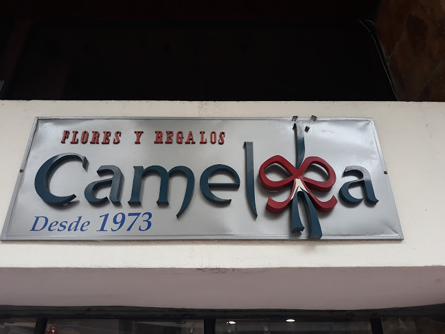 Opiniones de Flores Y Regalos Camelia en Guayaquil - Floristería