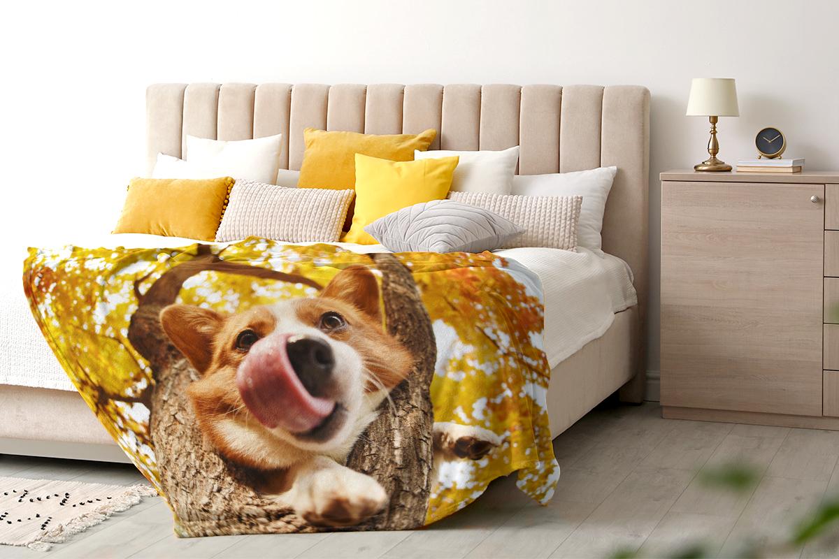 A dog lying on a couch

Description automatically generated with medium confidence