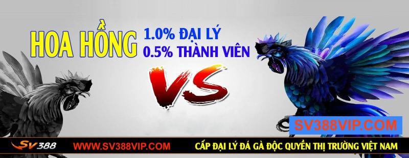 Làm đại lý SV388 cần đáp ứng một số quy định 