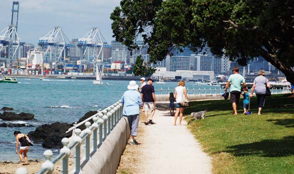 Image result for walking around auckland