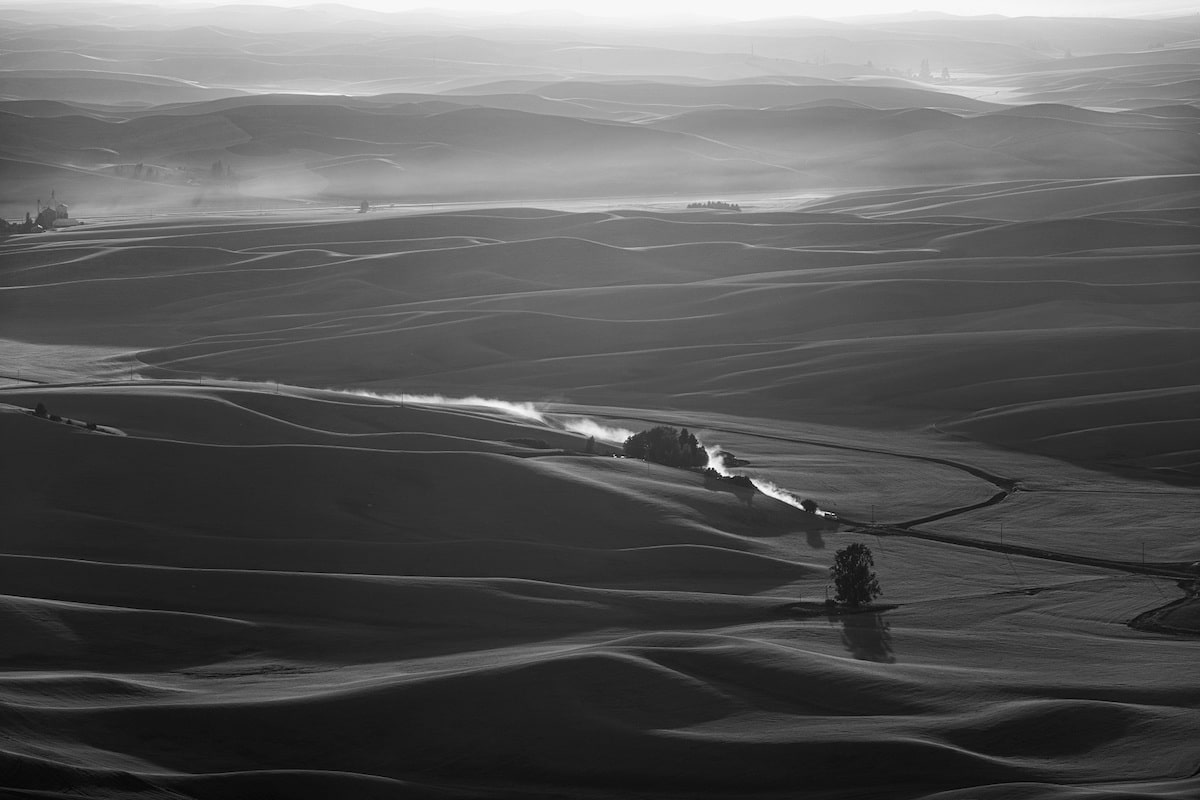 Winners of 2022 Black and White Photo Awards