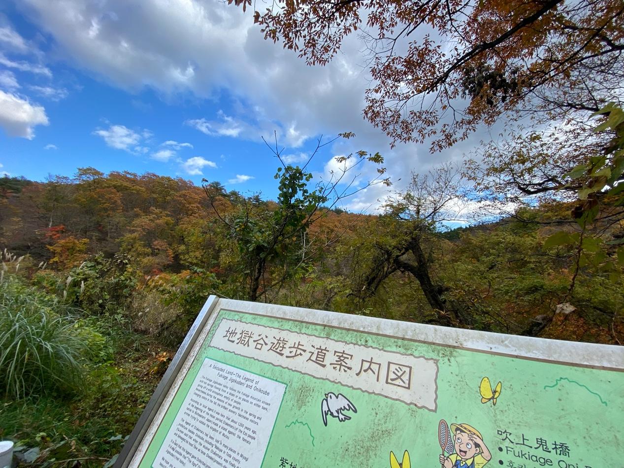 Australia Leeeee S Life 19日本行day28 鳴子峽紅葉見傾地獄谷煮溫泉蛋山形総合公園銀杏大道