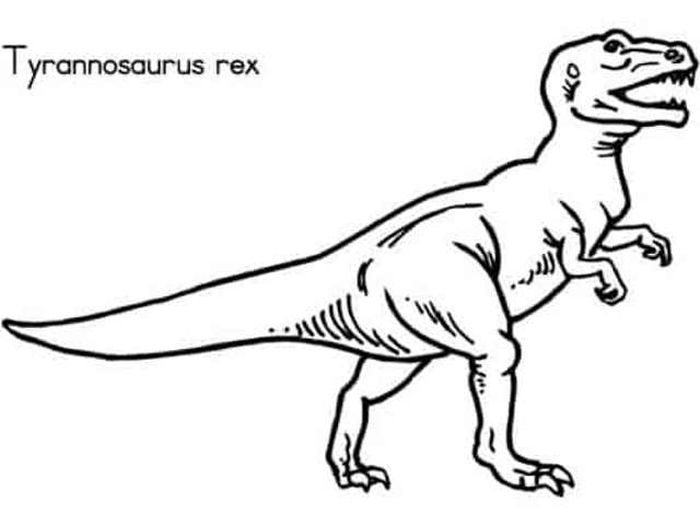 Tiranossauro Rex Desenho Para Colorir - Ultra Coloring Pages