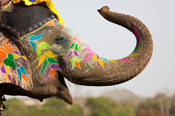 How The Elephant Became The National Symbol Of Thailand