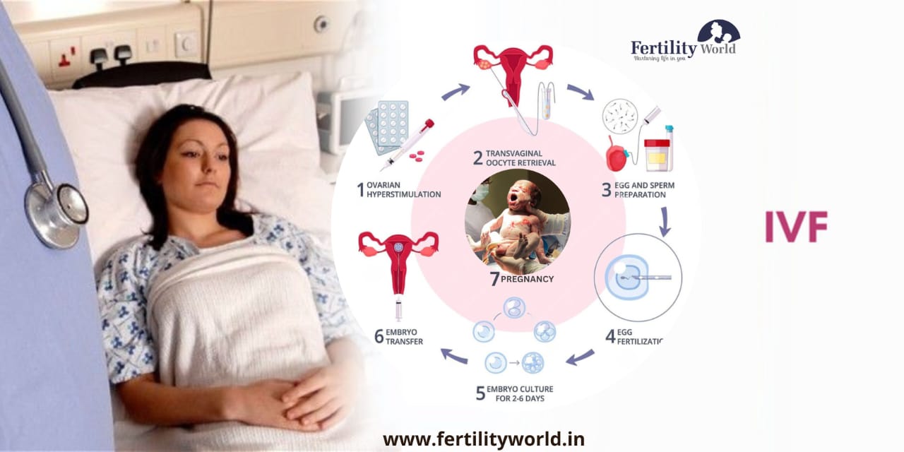 Process of in-vitro fertilization (IVF)