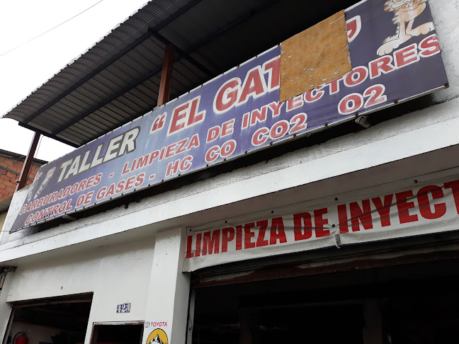 Taller el Gato