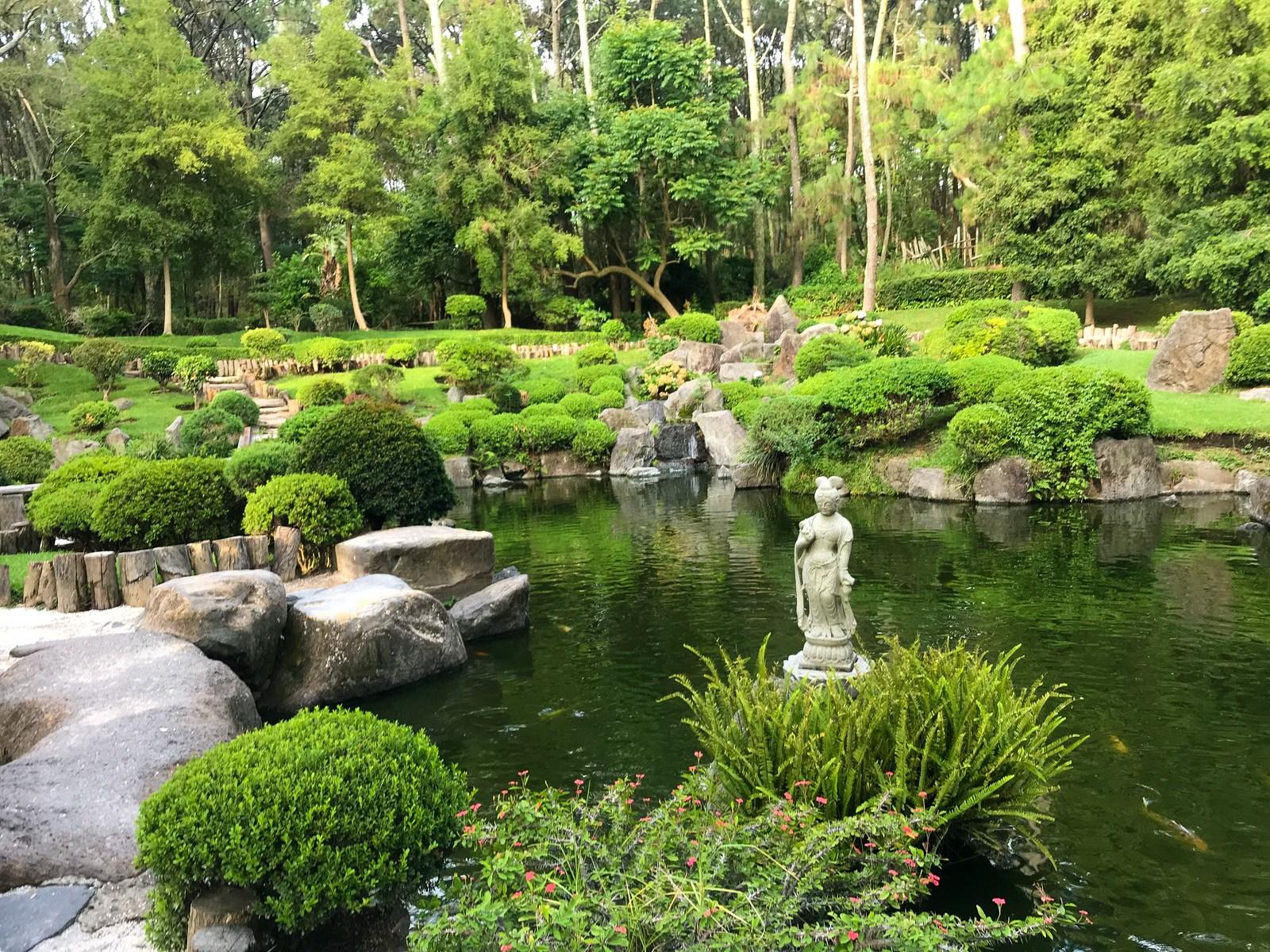 Un jardín junto a un estanque de agua

Descripción generada automáticamente con confianza media