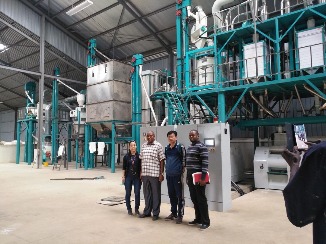 50T maize milling machine (1)