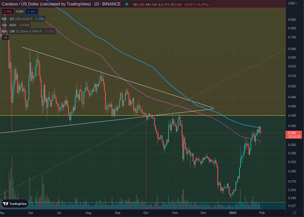 BTC price during the month of January 2023 indicates that it will close at +40%