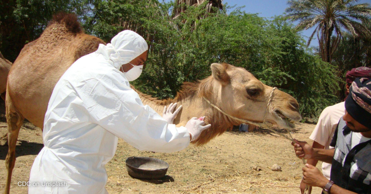 ‘Opinion: Why detecting zoonotic diseases is crucial for global health