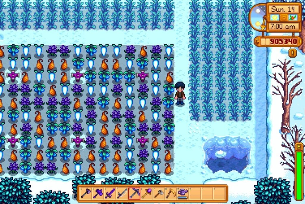 Winter Crops and Activities