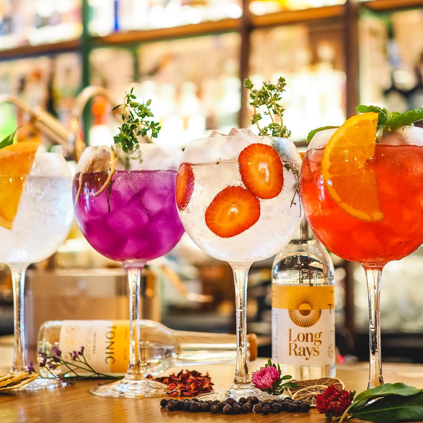 Ginuary Festival
