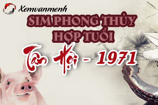 sim-phong-thuy-hop-tuoi-tan-hoi-1971