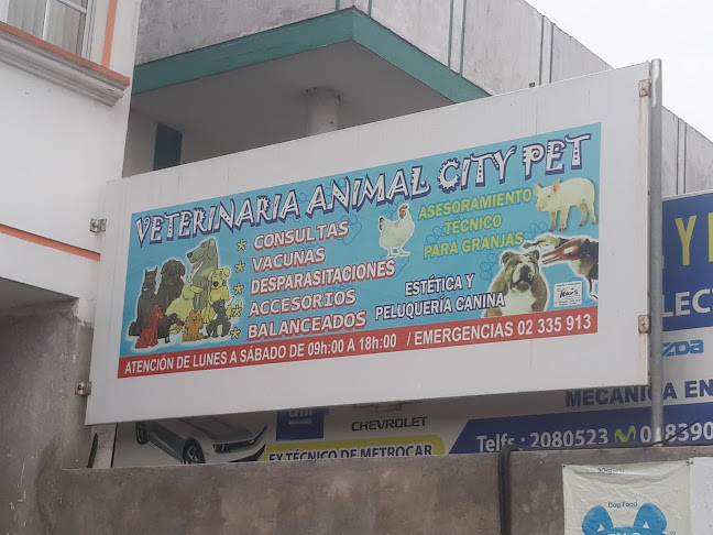 Opiniones de Animal City Pet en Quito - Veterinario