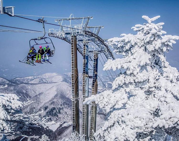 ski resort from Seoul 