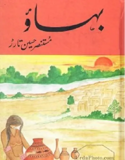 Bahao(novel) by Mustansar Hussain Tarad: Critical Appreciation