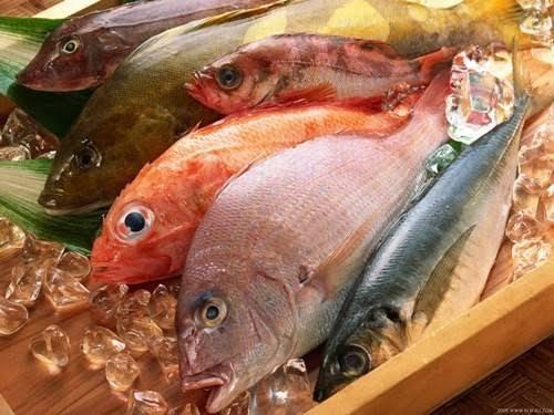 อาหารบำรุงสมอง ปลา-https://healthy-4you.com/