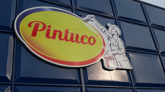 pintuco.com