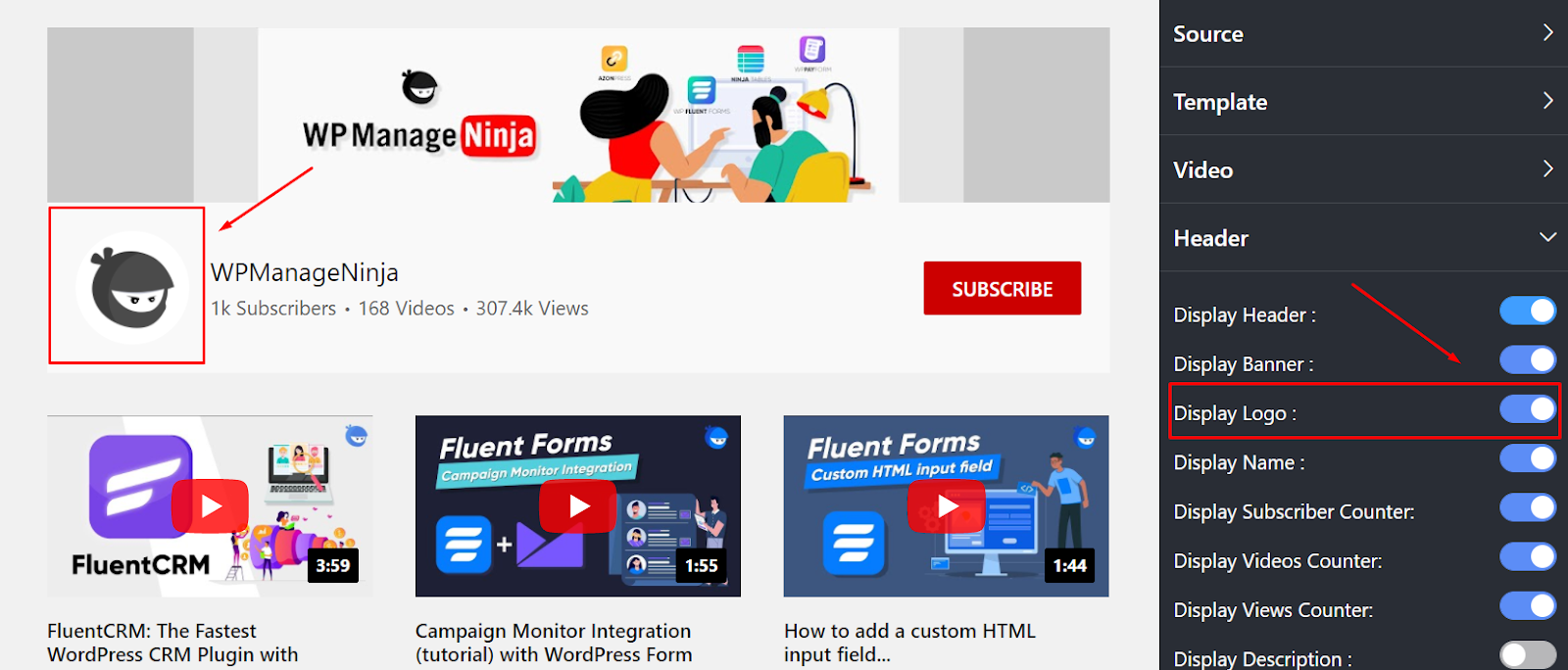 YouTube settings display logo