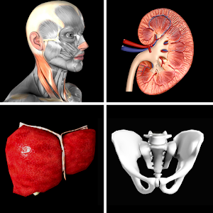 Anatomy Quiz Pro apk Download
