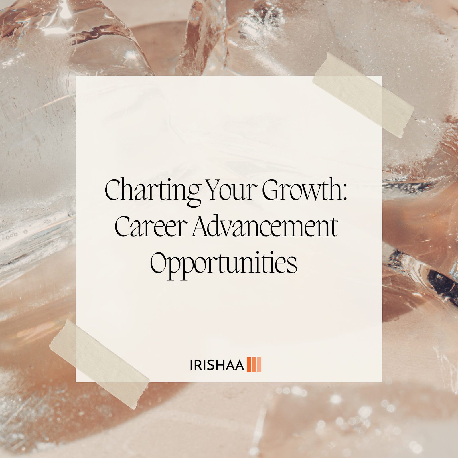 Charting Your Growth: Career Advancement Opportunities 

