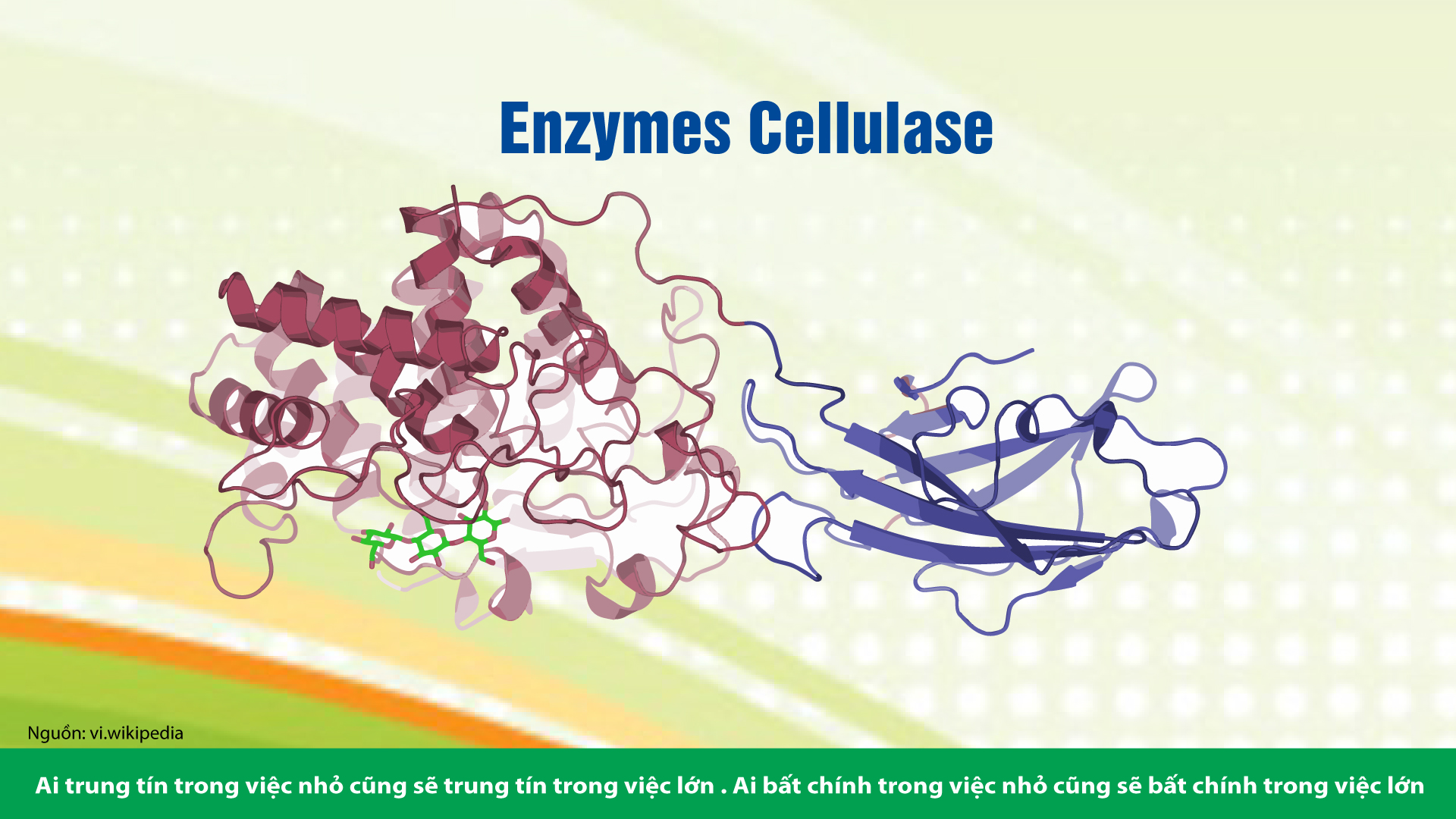 TÁC DỤNG TUYỆT VỜI CỦA CÁC ENZYME TIÊU HÓA (P1)