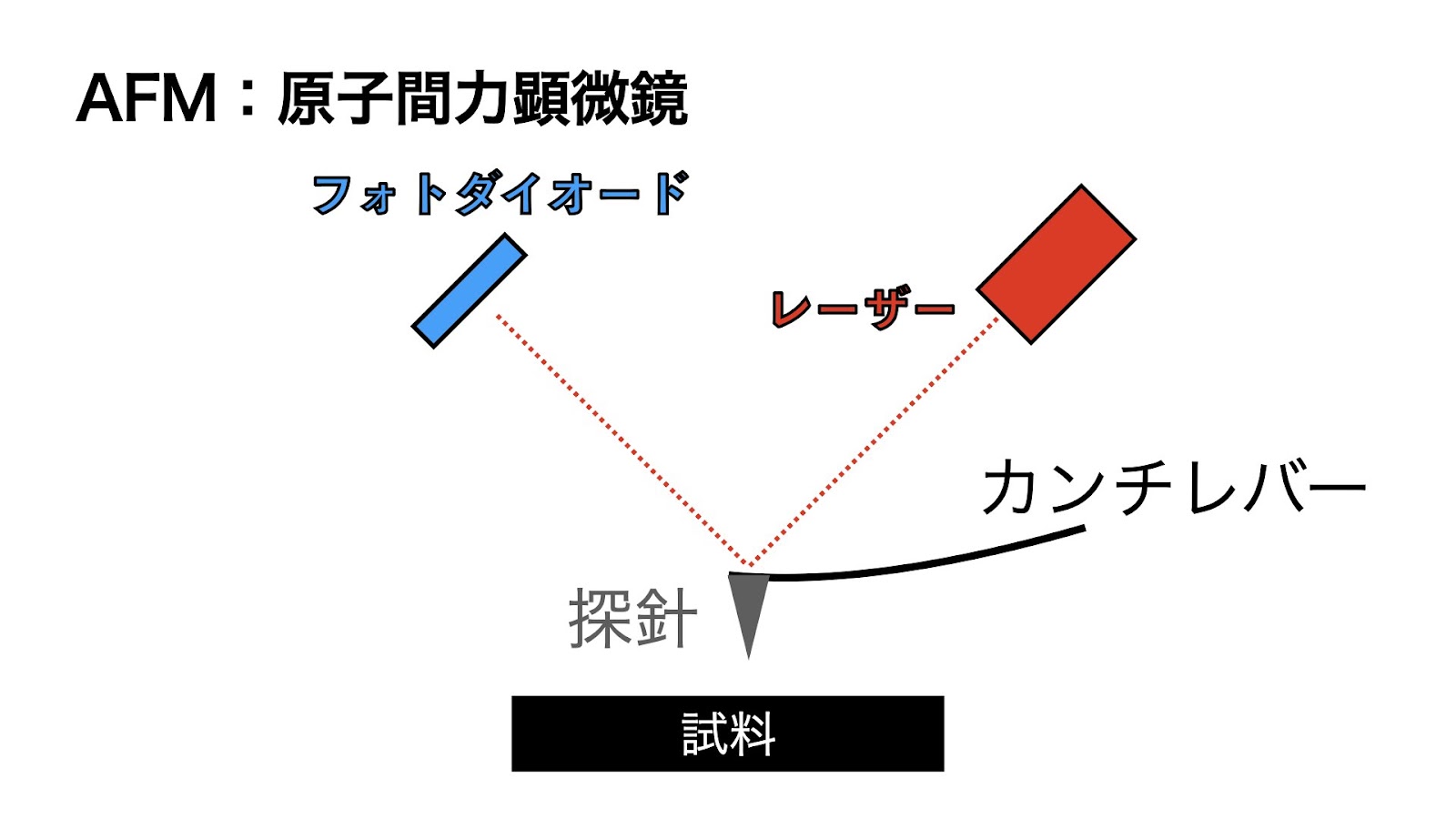 AFM（原子間力顕微鏡）の仕組み