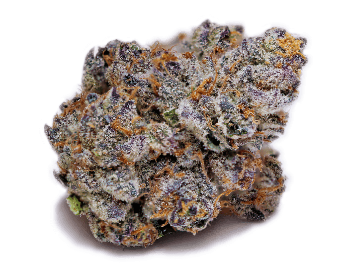 purple urkle strain