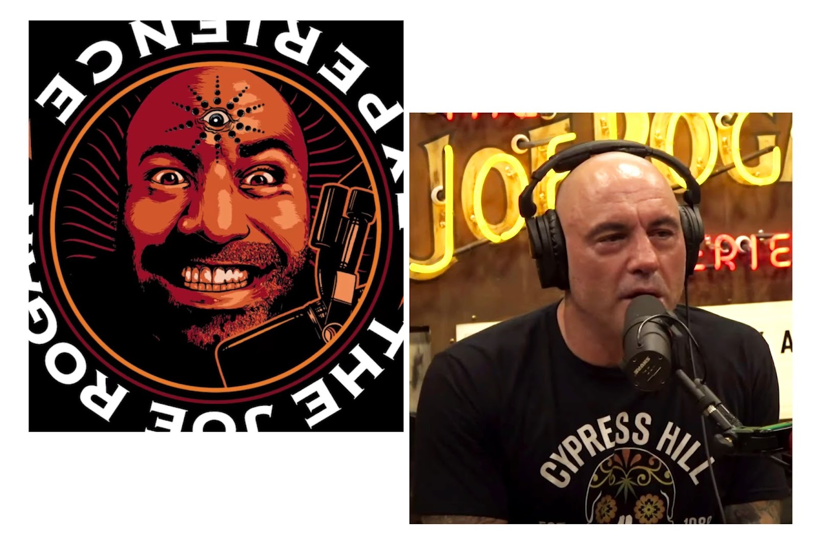 image cover of interview podcast The Joe Rogan Experience and the photo of the host of the podcast, Joe Rogan