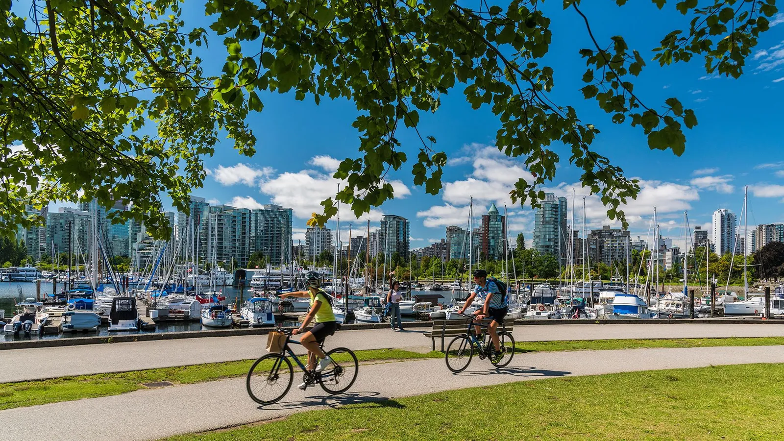 The city of Vancouver: How does a city make you feel good?