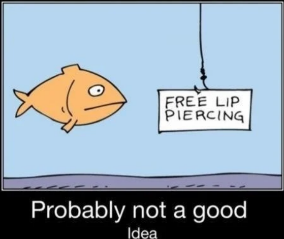 Probably not a good idea, says the fish staring at the "free lip piercing" sign on a hook. (image isn't ours)