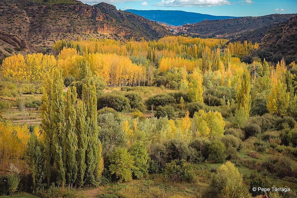 La imagen puede contener: Ã¡rbol, planta, cielo, montaÃ±a, exterior y naturaleza