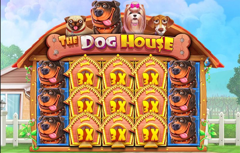 The dog house