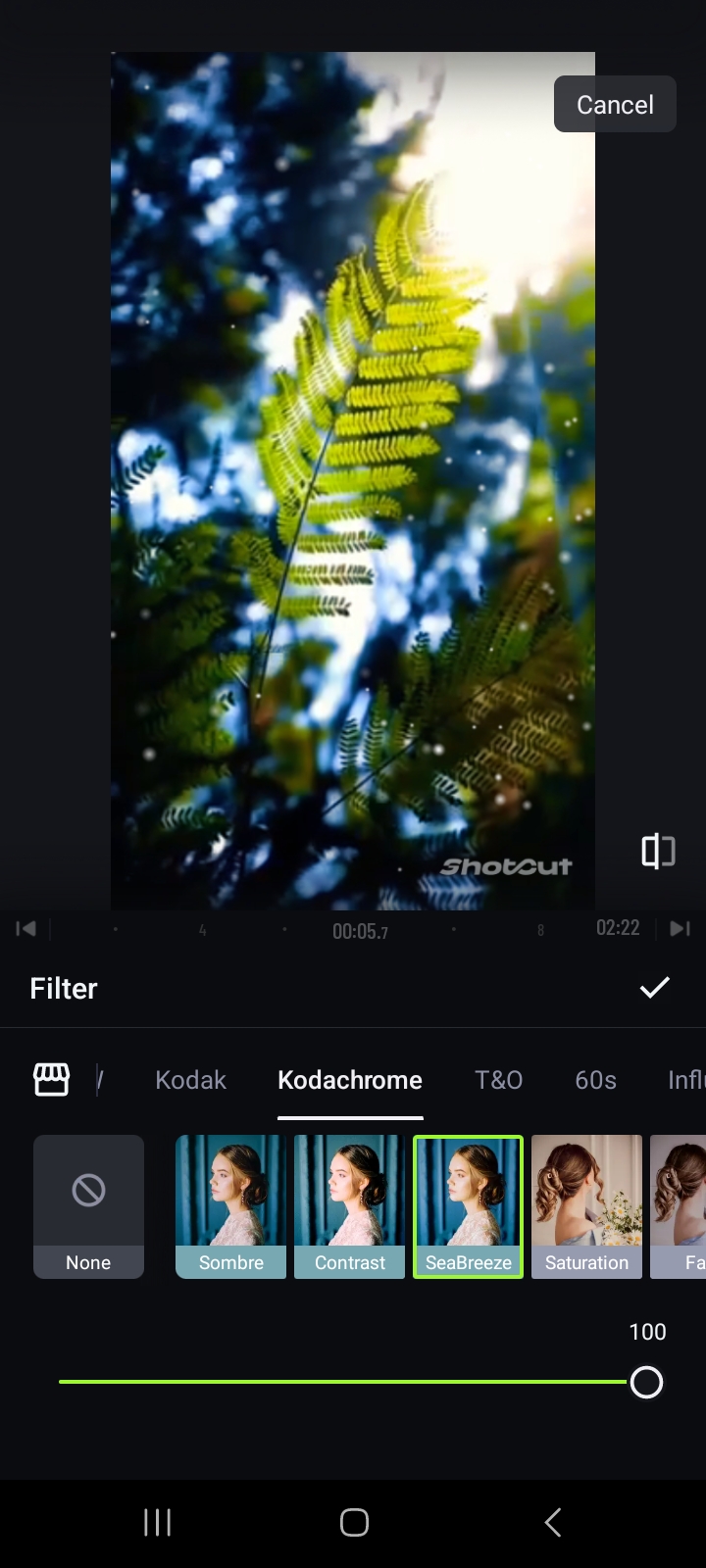 add filter to video