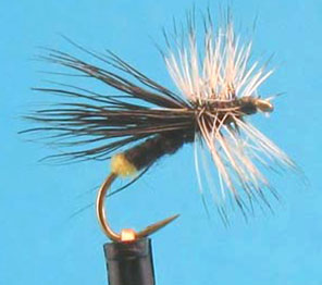 Fly Tying Archives - Kiap-TU-Wish Chapter of Trout Unlimited