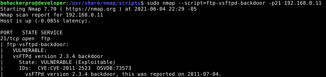 nmap-scripting-engine-ciberseguridad-behackerpro-ejemplos-img5