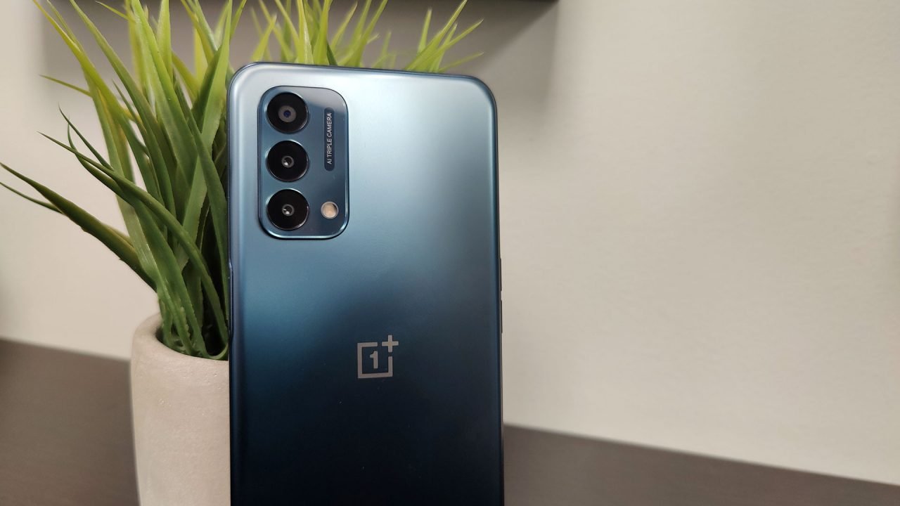 This image shows the OnePlus Nord N200's back camera side with an artificial plant tree.