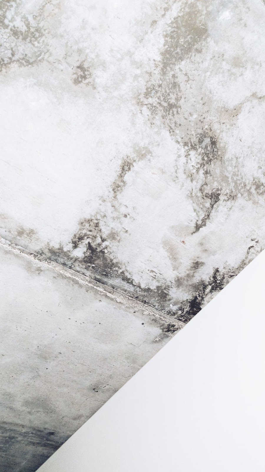 Mould growth on ceiling tiles