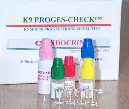 Components of the K9 Proges-Check test kit for measurement of progesterone in canine serum 