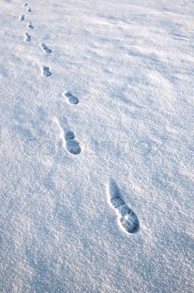 Approaching footprints in the snow | Stock image | Colourbox