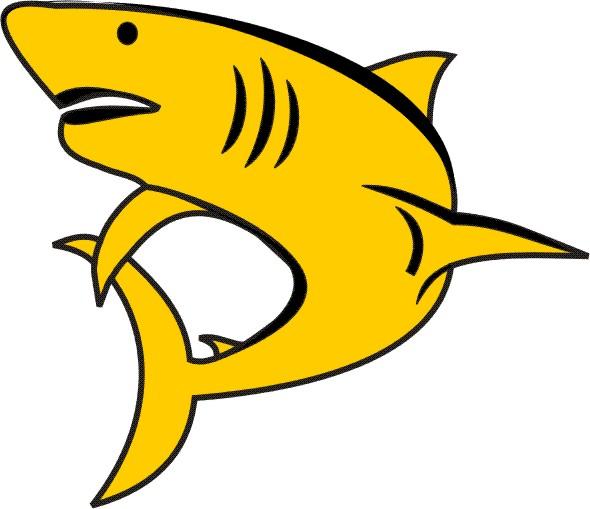 NORTH SUBURBAN AQUATIC CLUB.jpg