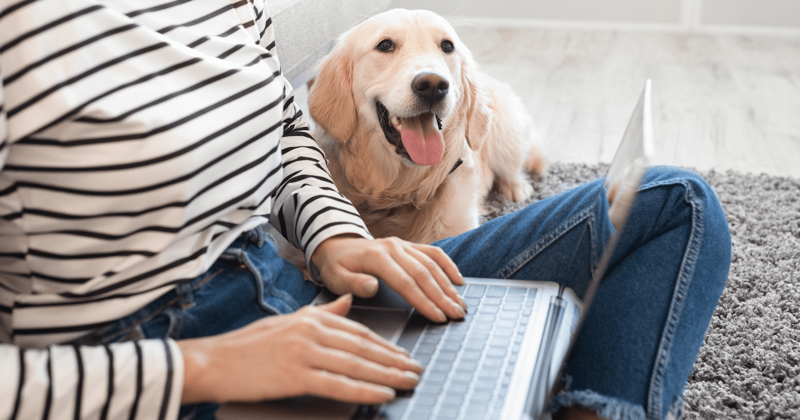 Woman sitting on carpet with laptop and golden retriever laying beside her