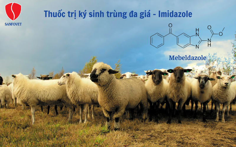 thuốc trị ký sinh trùng đa giá - Imidazole
